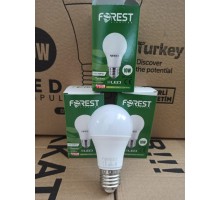 FOREST 10 W LED AMPUL 