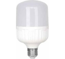 WINLIGHT 30 WATT TORCH AMPUL