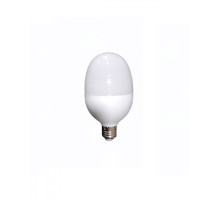 WINLIGHT 20w Led Torch Yumurta Ampul