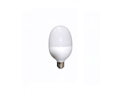 WINLIGHT 20w Led Torch Yumurta Ampul WINLIGHT 20w Led Torch Yumurta Ampul