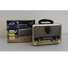 Everton Solar Panelli Radyo 