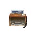 Everton Solar Panelli Radyo