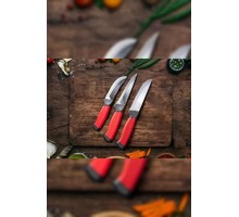 LAZOĞLU 3 LÜ KASAP BIÇAĞI SET