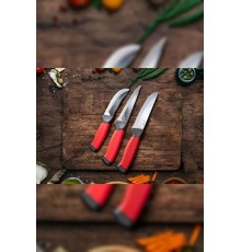 LAZOĞLU 3 LÜ KASAP BIÇAĞI SET