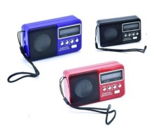 SUBZERO SB38 MİNİ DİJİTAL RADYO