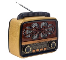 Everton RT-880 Radyo
