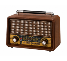 EVERTON RT-750 RADYO 
