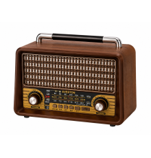 EVERTON RT-750 RADYO 