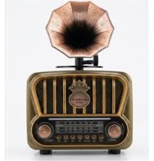 EVERTON RT-605 GRAMAFON RADYO