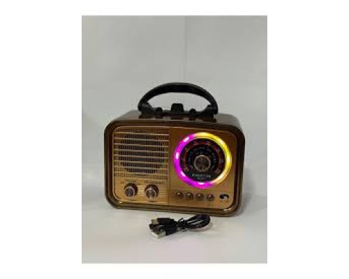 EVERTON RT-677 PANELLİ RADYO
