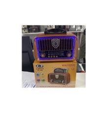 EVERTON RT-688 PANELLİ RADYO 