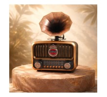 EVERTON RT-606 GRAMAFON RADYO