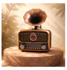EVERTON RT-606 GRAMAFON RADYO