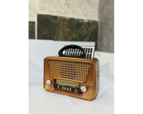 EVERTON RT-836 PANELLİ RADYO
