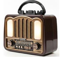 EVERTON RT -771 PANELLİ RADYO