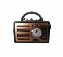 Everton RT-737 Panelli Saatli Radyo