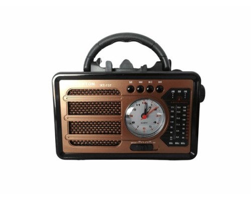 Everton RT-737 Panelli Saatli Radyo