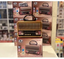 Everton RT-682 Panelli Radyo