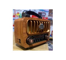 EVERTON RT-847 RADYO