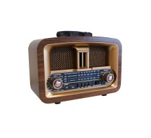 EVERTON RT-876 RADYO