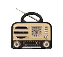 Everton RT-670 Saatli Radyo