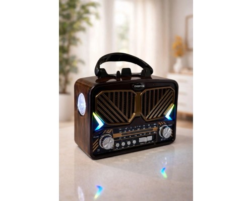 EVERTON RT-571 PANELLİ RADYO