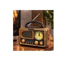 EVERTON RT  718 PANELLİ RADYO