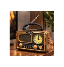 EVERTON RT  718 PANELLİ RADYO