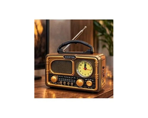 EVERTON RT  718 PANELLİ RADYO