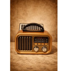 EVERTON RT -702 ANELLİ RADYO